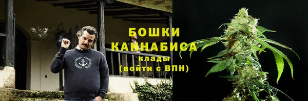 стаф Ладушкин