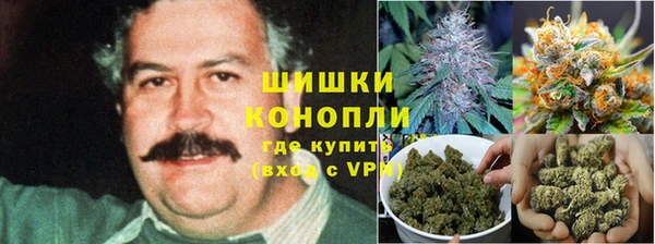 индика Лагань