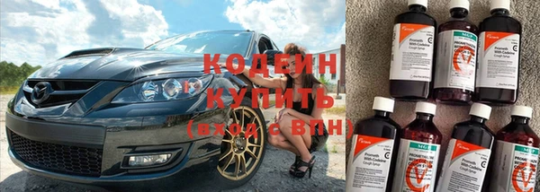 молекула духа Кулебаки