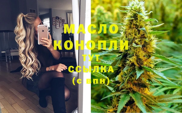 индика Лагань