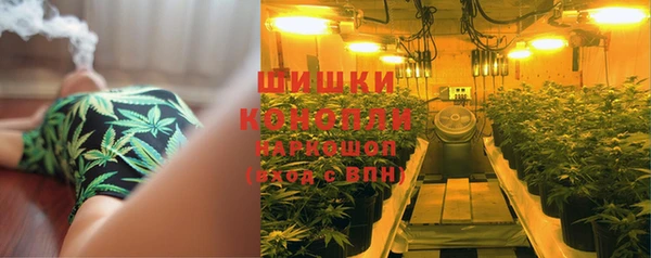 соль ск Кукмор