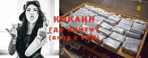 индика Лагань