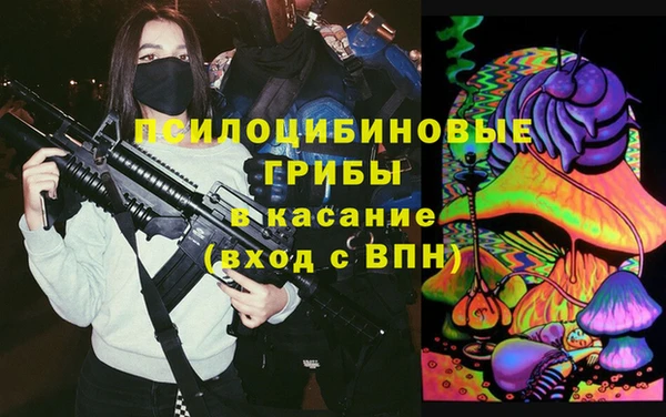 индика Лагань