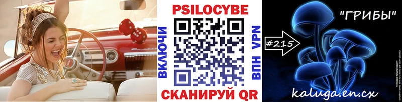Галлюциногенные грибы Psilocybe  блэк спрут   Рыльск 